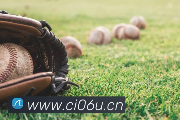 拼搏体育平台生态图