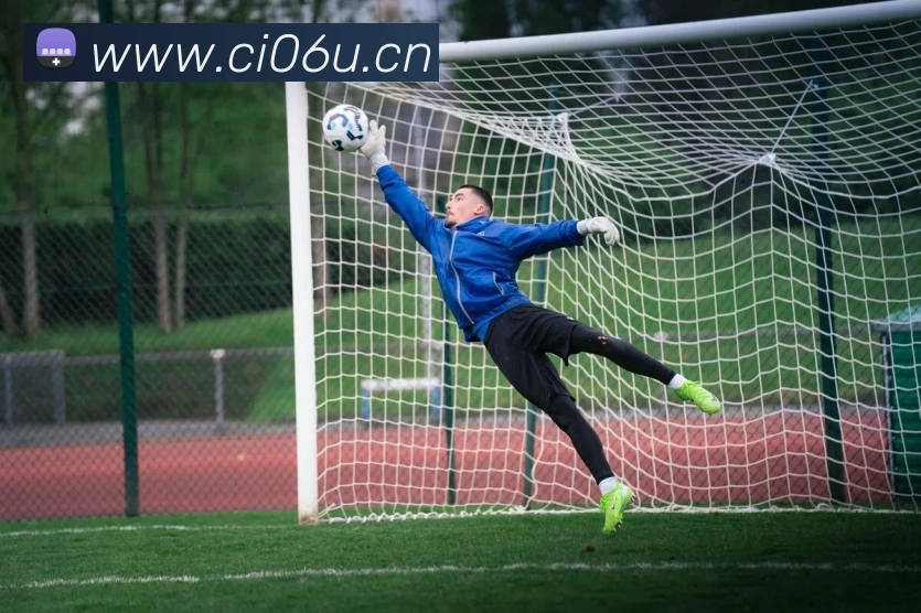 拼搏体育全站App